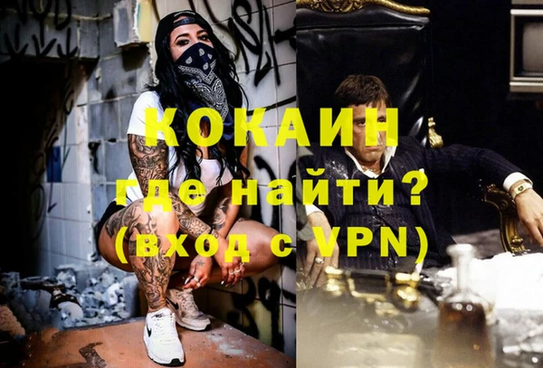 твердый Абаза