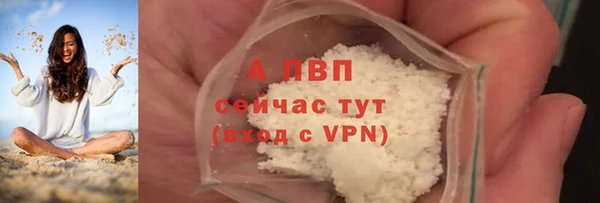 твердый Абаза