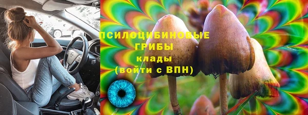 твердый Абаза