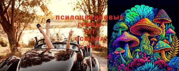 твердый Абаза